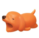 Charger Cable Animal Bites