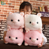 Piggy Cute Cuddle  Toy