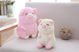 Cute Piggy Plush Toy