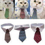 Pet Collar & Tie