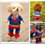 Halloween Pet Superman Costume