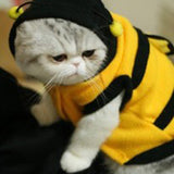 Pet Bee Costume
