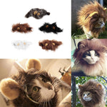 Pet Costume Lion