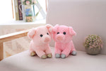 Cute Piggy Plush Toy