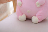 Cute Piggy Plush Toy