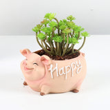 Cute Pig Flower Mini Pot