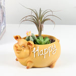 Cute Pig Flower Mini Pot